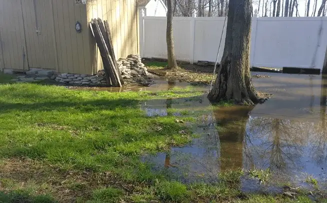 Empty Standing Water
